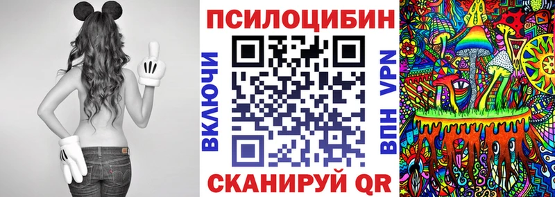 Псилоцибиновые грибы MAGIC MUSHROOMS  где купить наркоту  Унеча 